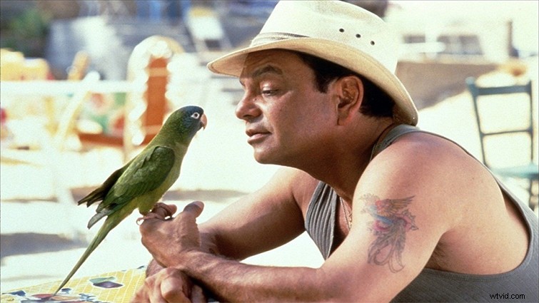 Expert Tips for Working with Animal Actors on Film Sets