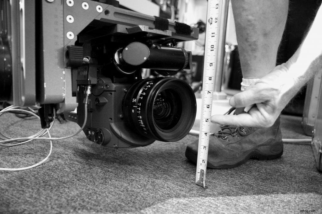 Expert Tips for Working with Animal Actors on Film Sets