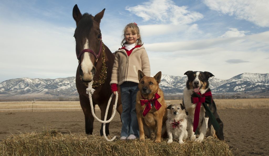 Expert Tips for Working with Animal Actors on Film Sets