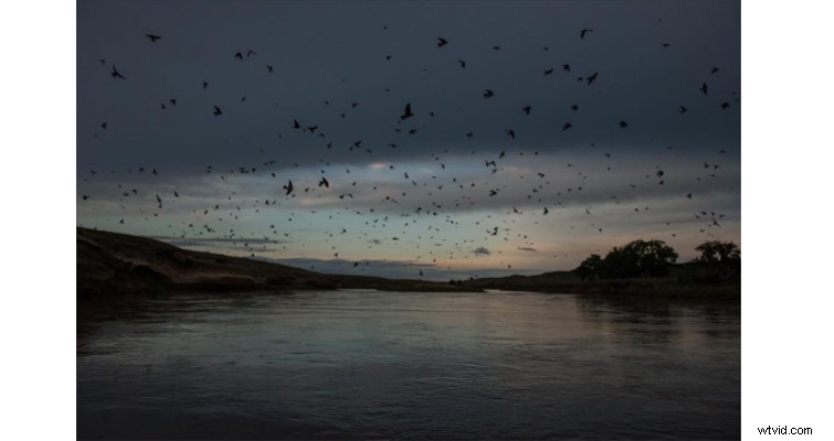 Elevate Your Cinematography: Inspiration from Visionary Photographers