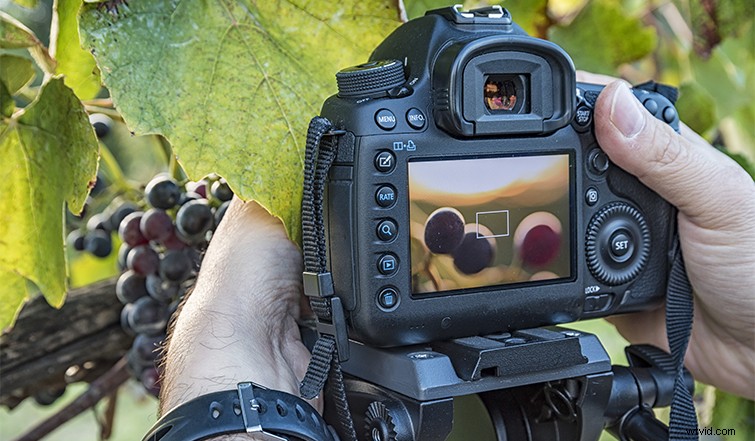 Master Videography: Pro Tips for Photographers Making the Switch