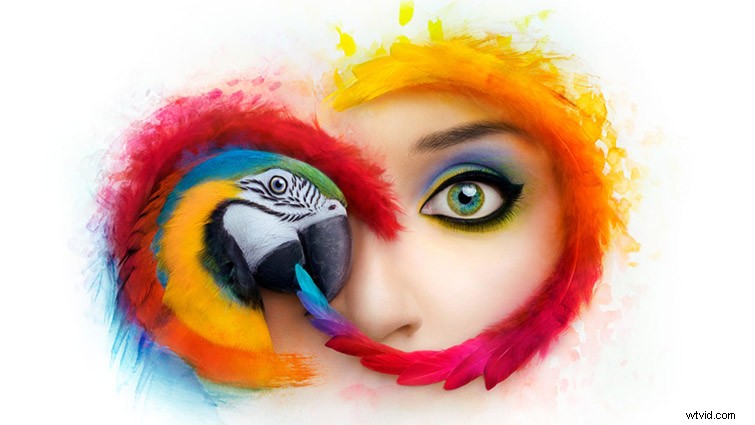 Adobe s Policy Shift: Why Older Creative Cloud Versions Are Being Restricted