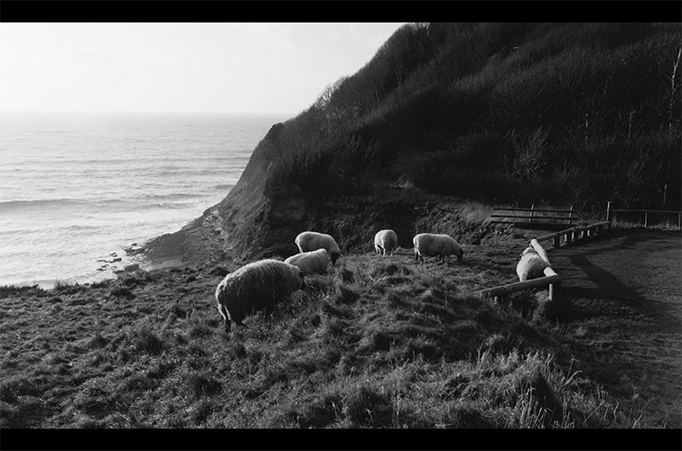 Recreating the Iconic Visuals of Oscar-Nominated Film  The Lighthouse 