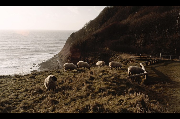 Recreating the Iconic Visuals of Oscar-Nominated Film  The Lighthouse 