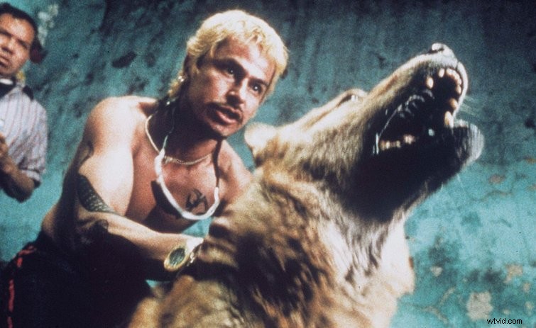 Decoding the Enigma: Rodrigo Prieto s Signature Cinematographic Style