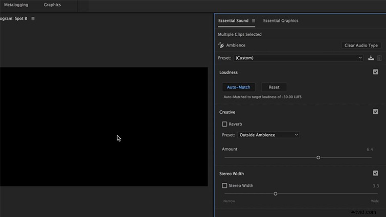 Master Audio Editing: Essential Sound Panel in Adobe Premiere Pro
