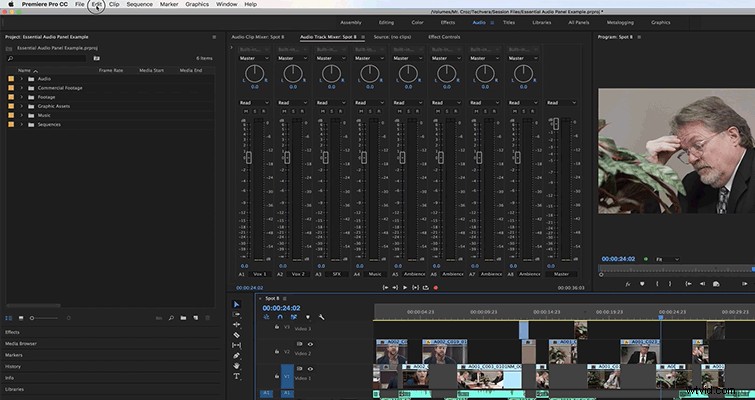 Master Audio Editing: Essential Sound Panel in Adobe Premiere Pro