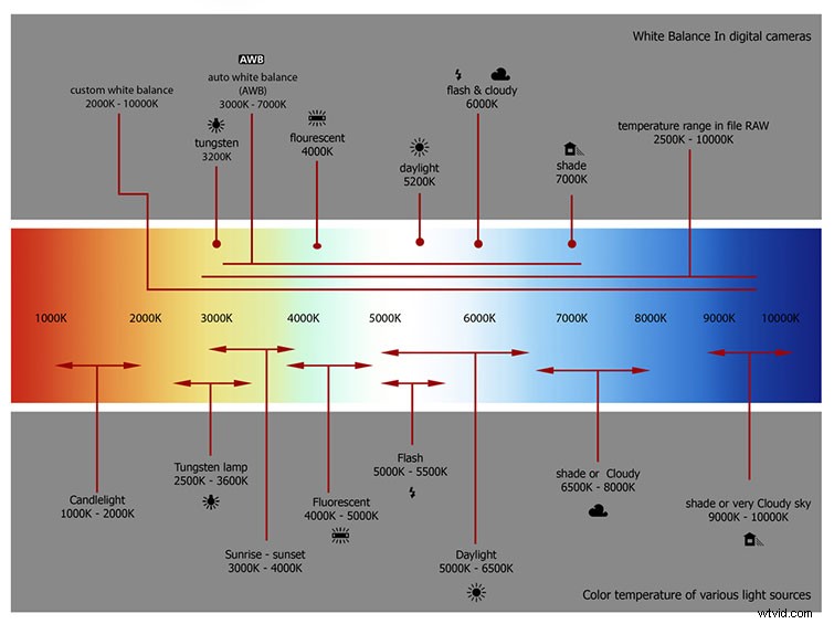 Expert Guide: Color Match GoPro, Sony a7III, Phone & Mavic 2 Pro Footage in Premiere Pro
