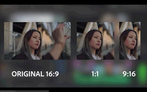 AI s Disruptive Rise in Motion Design: Threats, Opportunities, and the Future