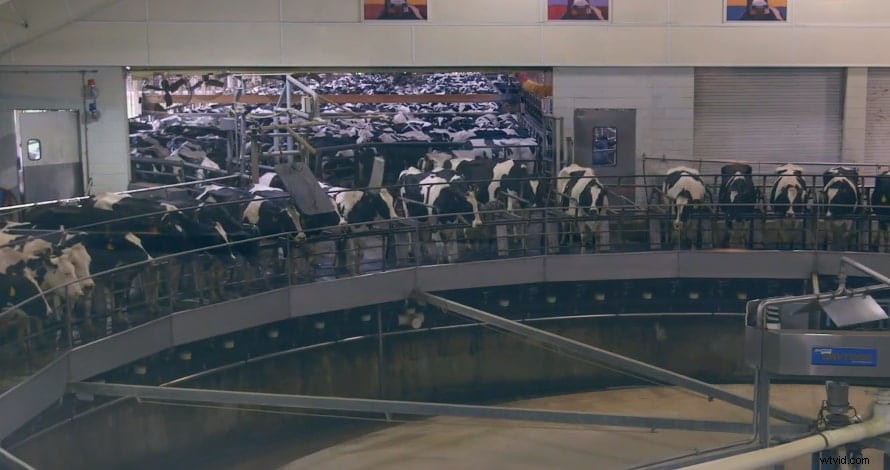 8 Must-Watch Product Videos Every Marketer Needs to Study