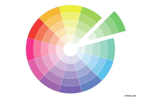 Elegant Monochromatic Color Scheme Ideas for 2022 Designs