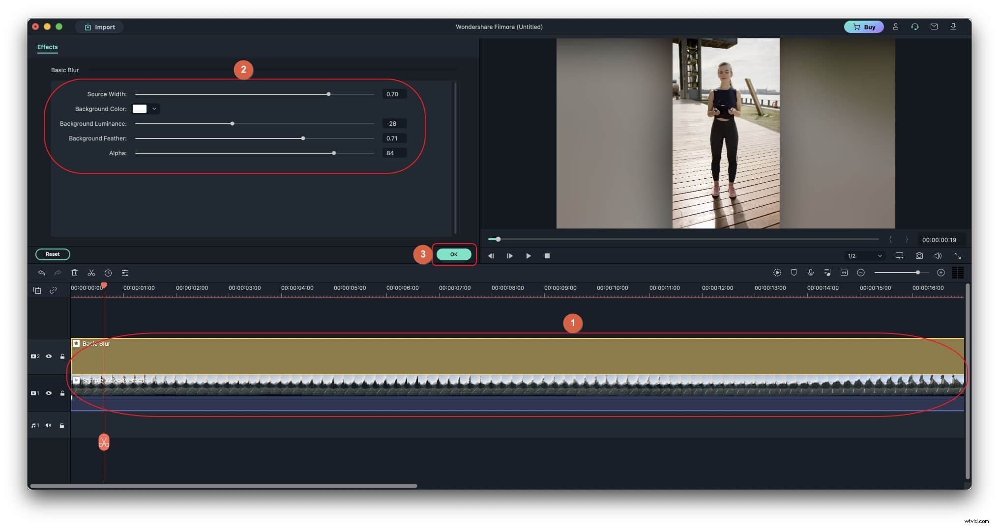 Blur Videos Online for Free: Easy, Secure & No-Download Guide