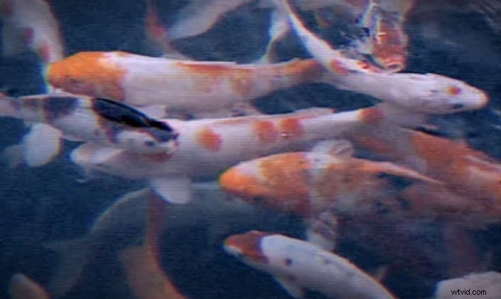 Master Authentic VHS Effects in Final Cut Pro: Step-by-Step Guide