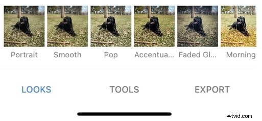 Top 10 Best Bokeh Effect Apps for iPhone & Android (Tested 2022)