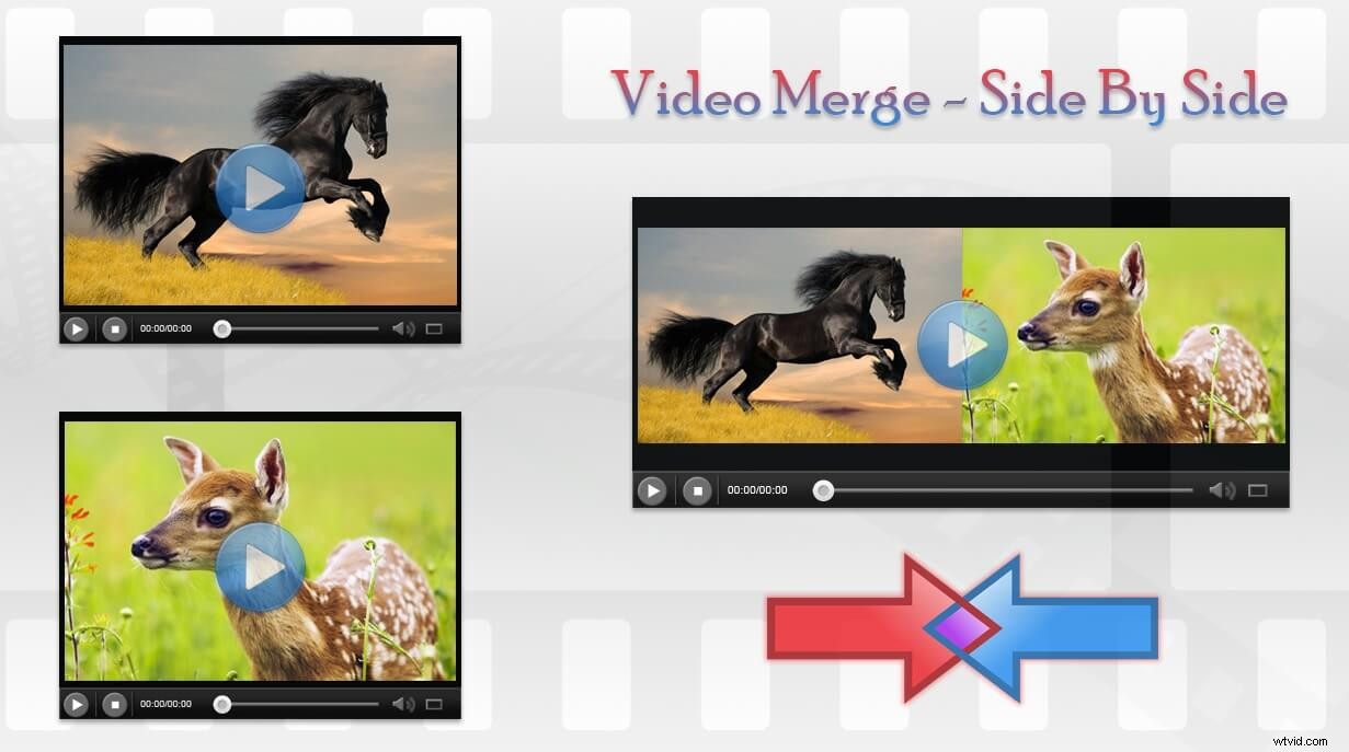 Top Split-Screen Video Apps for iOS & Android: Edit Like a Pro