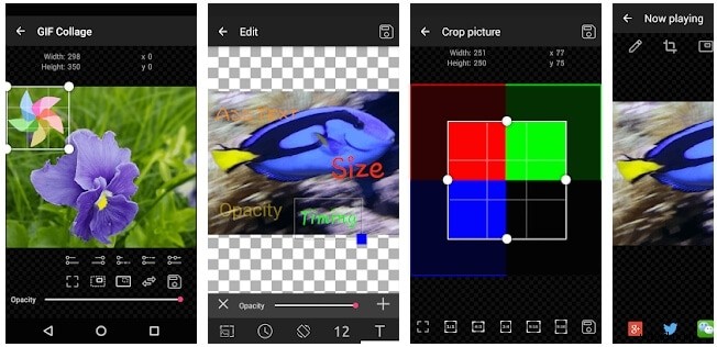 Top 10 Best GIF Speed Changer Tools: Perfect Your Animations Effortlessly