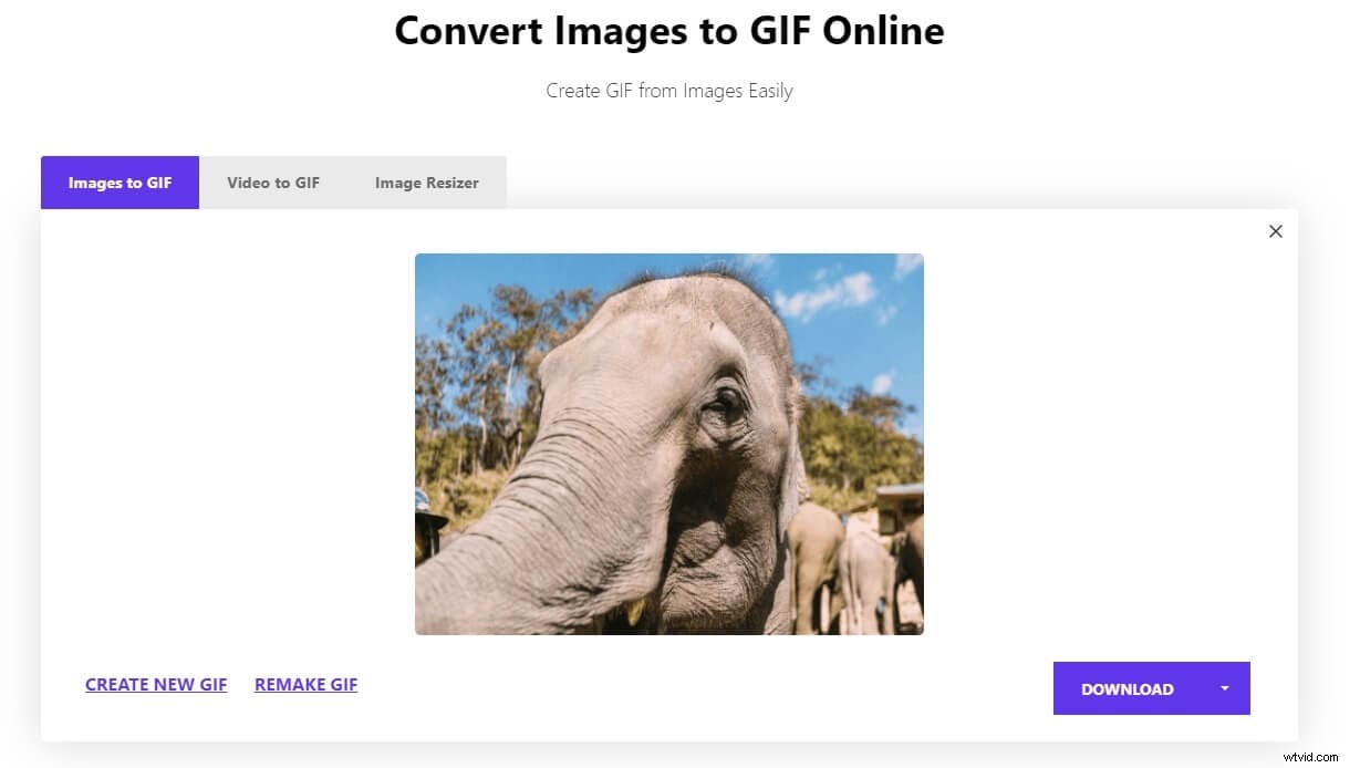 Top Free GIF Loop Makers: Create Seamless Animations Effortlessly
