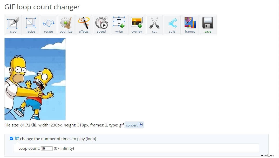 Top Free GIF Loop Makers: Create Seamless Animations Effortlessly