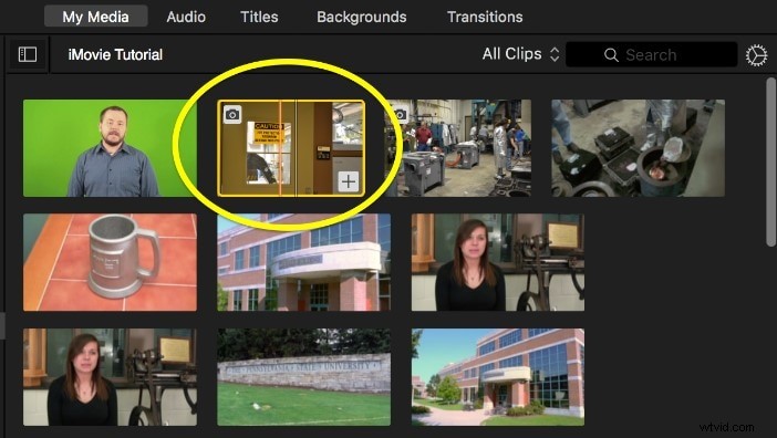 Top 10 Best Free Green Screen Apps for Android & iOS