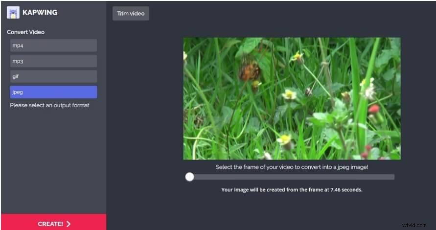 How to Extract Images from Videos: Convert Frames to JPEG or PNG Photos