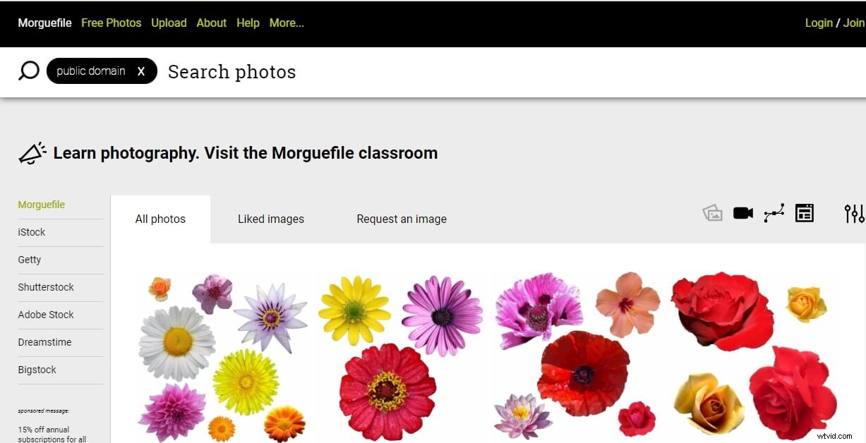 Top 10 Public Domain Image Websites: Free High-Quality Photos for Any Project