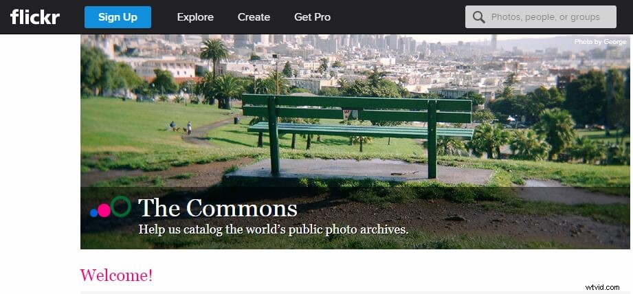Top 10 Public Domain Image Websites: Free High-Quality Photos for Any Project
