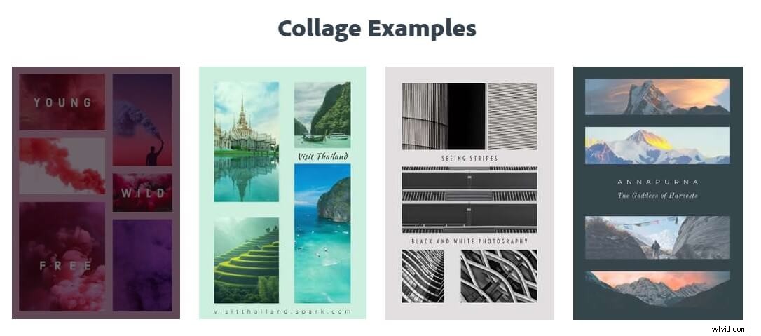 Top Online Photo & Video Collage Makers for 2022: Create Stunning Stories