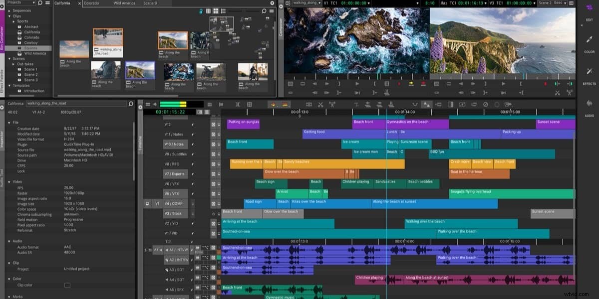 Top 10 Best Professional Video Editing Software: Free Downloads & Reviews