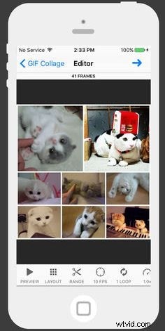 Top 8 Best Tools to Create Animated Photos Effortlessly