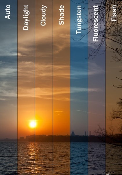 Top 16 Free Video Editing Software for Beginners: Easy-to-Use & Professional Results