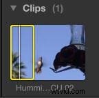 Master Freeze Frames and Slow Motion in Final Cut Pro X: Step-by-Step Guide