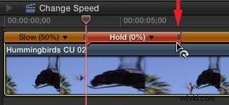 Master Freeze Frames and Slow Motion in Final Cut Pro X: Step-by-Step Guide