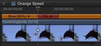 Master Freeze Frames and Slow Motion in Final Cut Pro X: Step-by-Step Guide