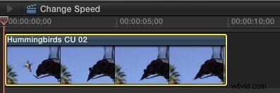 Master Freeze Frames and Slow Motion in Final Cut Pro X: Step-by-Step Guide