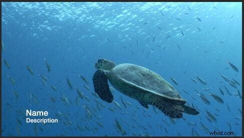 Step-by-Step Guide: How to Add Professional Titles in Final Cut Pro X