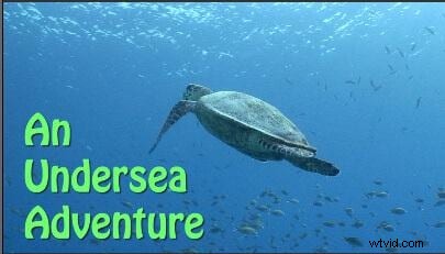 Step-by-Step Guide: How to Add Professional Titles in Final Cut Pro X