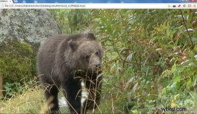 How to Stream Local Videos to Chromecast from Windows, Mac, Android & iOS