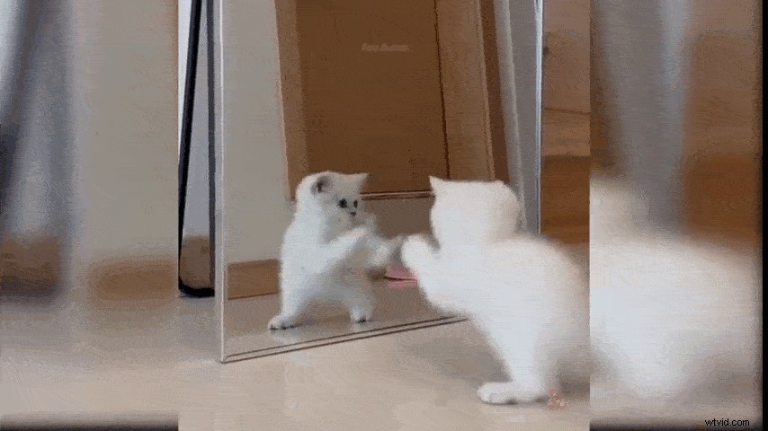 Create Epic April Fool s Prank Videos Easily with Filmora – Step-by-Step Guide