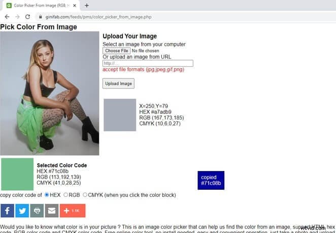 Top 10 Free Online Image Color Pickers: Extract Exact Colors from Any Image