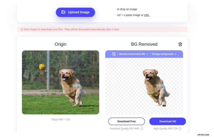 Top 10+ Best Background Removers for All Platforms – Professional Tools