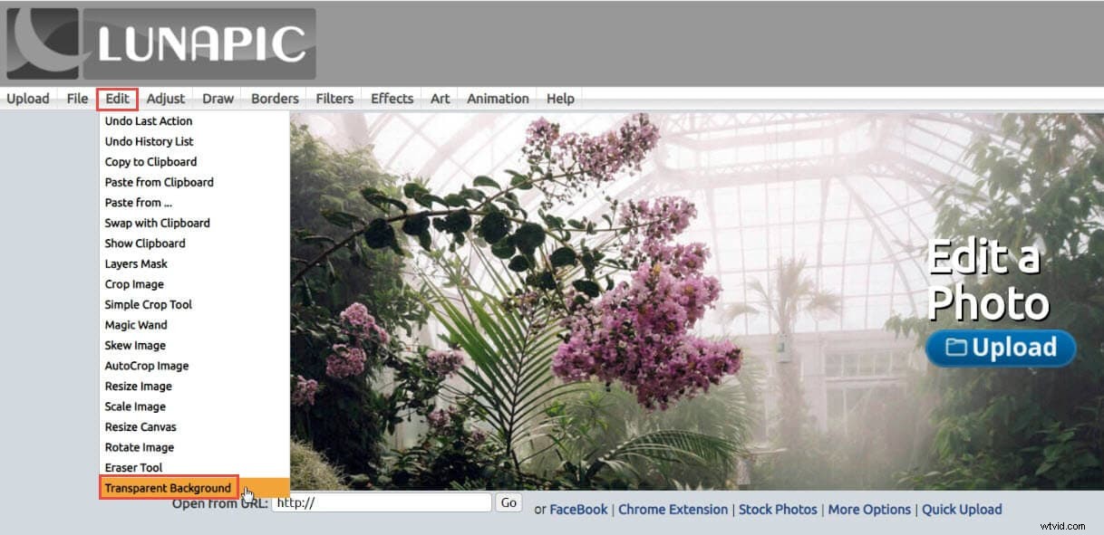How to Make a Logo Background Transparent for Free: 6 Proven Methods