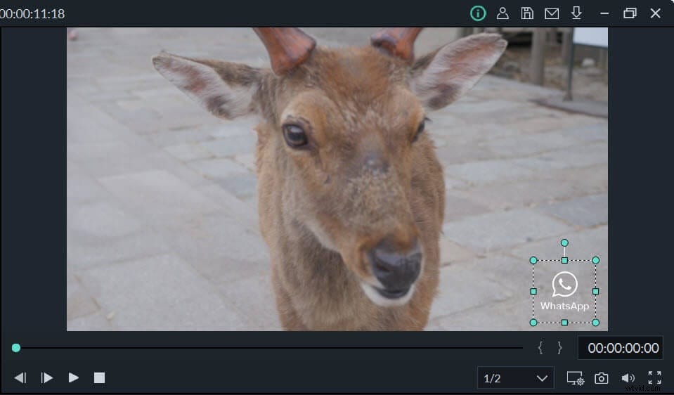 How to Make a Logo Background Transparent for Free: 6 Proven Methods