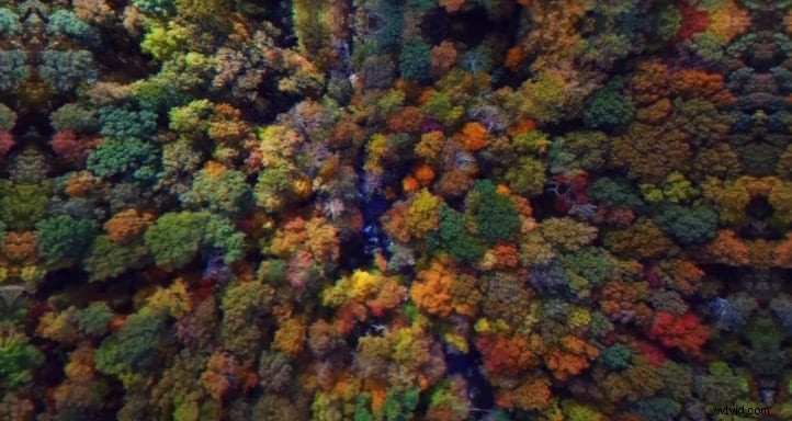 Top 10 Final Cut Pro Transitions for Stunning Professional Videos