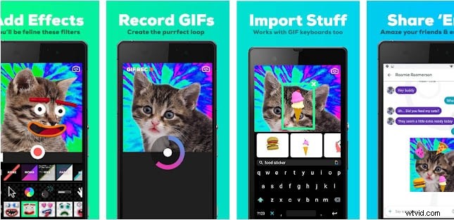 Effortlessly Convert GIF to Video: Ultimate Step-by-Step Guide for PC, Mobile & Instagram