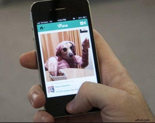 20 Creative Vine Ideas to Make Your Videos Unforgettable