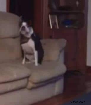 20 Creative Vine Ideas to Make Your Videos Unforgettable