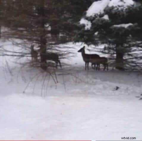 20 Creative Vine Ideas to Make Your Videos Unforgettable