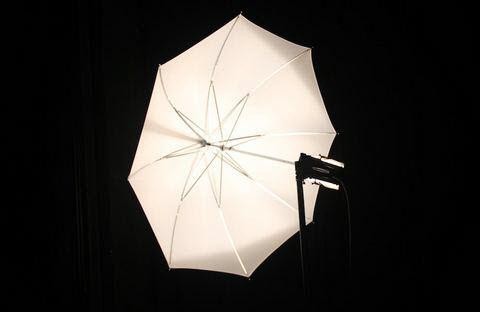 20 Creative Vine Ideas to Make Your Videos Unforgettable