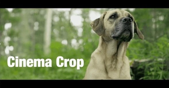 8 Proven Tips to Achieve a Cinematic Look in Your Videos on a Budget