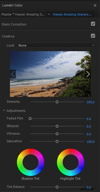 Master Lumetri Color in Premiere Pro: Easy Step-by-Step Guide